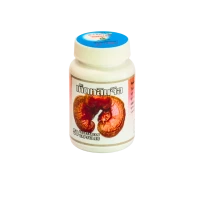 25. REISHI (Ganoderma lucidum)- гриб бессмертия для иммунитета и энергии. Аптека Rittha с Квая