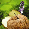 6. KWAO KRUA KHAO + ХАРИТАКИ / витамины для женщин / аптека реки Квай Rittha 6. KWAO KRUA KHAO + ХАРИТАКИ / витамины для женщин / аптека реки Квай Rittha